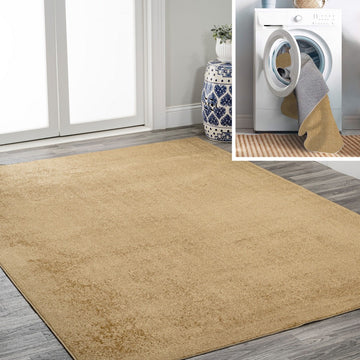 Twyla Classic Solid Low-Pile Machine-Washable Area Rug